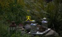天_
